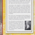 Tony Dunderfelt: Iisi - pikkukuva 2