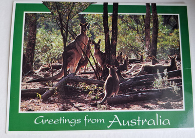 Eläinkortti, Kengurut Australiassa, kulkenut