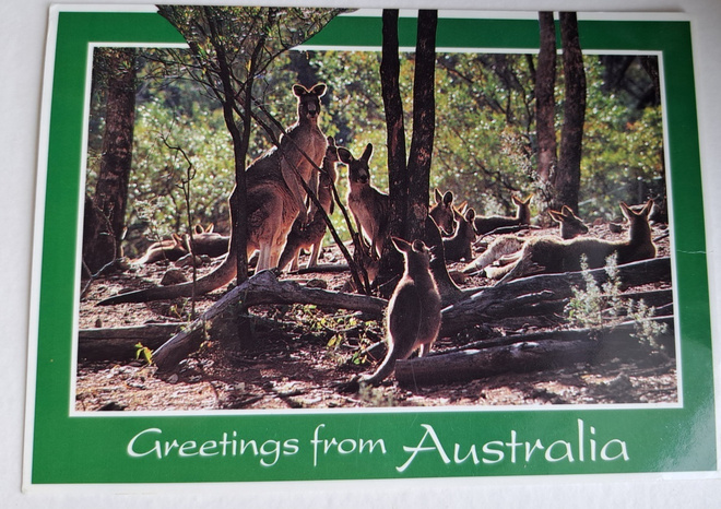 Eläinkortti, Kengurut Australiassa, kulkenut