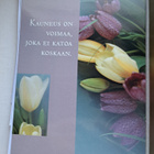 mietelmäkortti: tulppaaanit, uusi kortti - pikkukuva 1