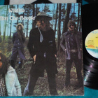MOTT THE HOOPLE ~ Wildlife ~ LP - pikkukuva 1