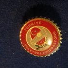 Turkin Lentopalloliitto. Pinssi - pikkukuva 1
