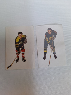 Champion jääkiekko kuvat