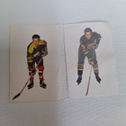 Champion jääkiekko kuvat - pikkukuva 1
