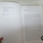 TOIVO FLINK - kotiin karkoitettavaksi ( 2.p v 2010 - pikkukuva 5