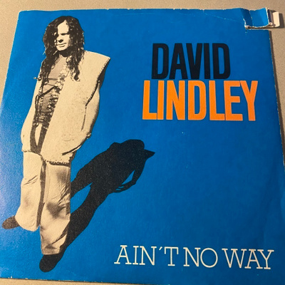 DAVID LINDLEY: Ain´t No Way * Pay The Man * ITA 1981