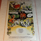 AKU ANKKA 52B 1991 BAMBI - pikkukuva 2