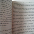 Huimaavat korot – Mirja Tervo – pokkari - pikkukuva 3