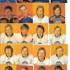 Erä Williams 1972-73 jääkiekkokortteja, yli 250 kpl - pikkukuva 1