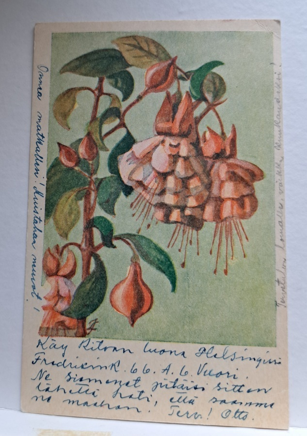 Laura Järvinen: onnittelukortti verenpisara, kulkkenut 1945