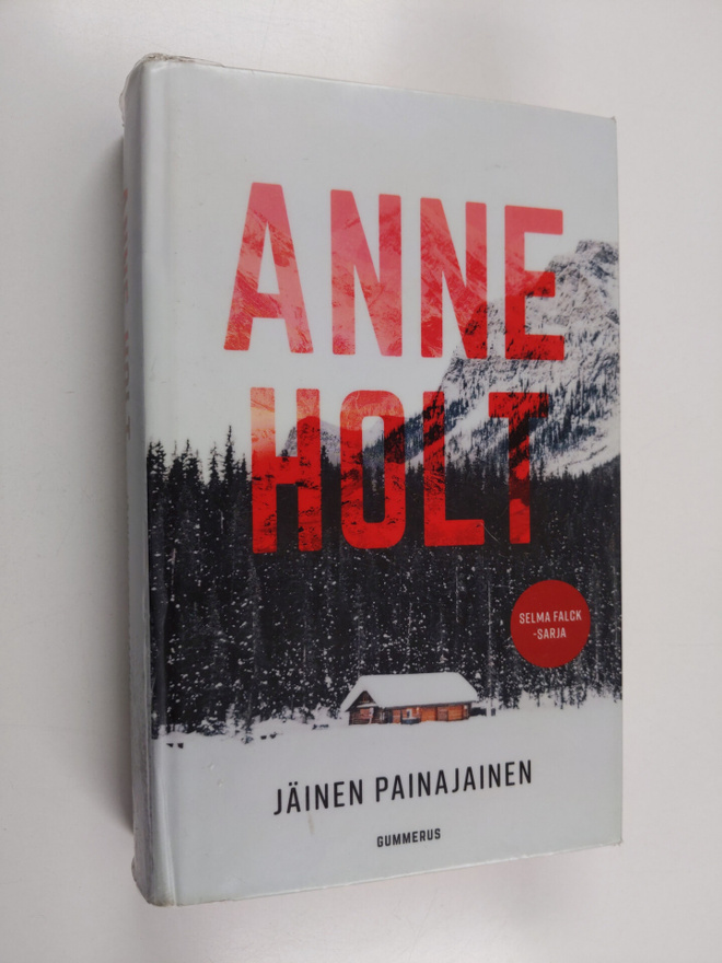 Anne Holt : Jäinen painajainen