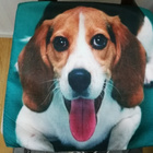 Beagle tyynynpäällinen - pikkukuva 4
