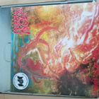 Morbid Angel - Blessed Are The Sick LP - pikkukuva 1