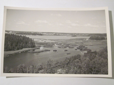 VANHA Postikortti Viipuri 1930-luku