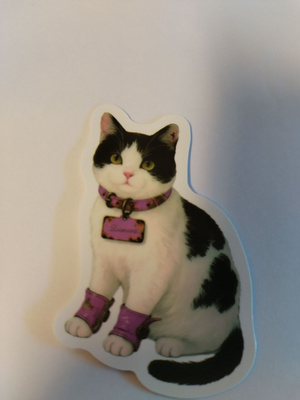 Kissa tarra.