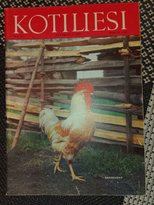 Kotiliesi syyskuu 17/1967