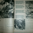 1978 Metsästys ja kalastus -lehti, syyskuu nro 9/1978 - pikkukuva 2