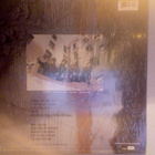 JOHN  JARRETT'S TRIBE   :::   VINYYLI LP     USA  1984 - pikkukuva 2
