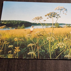 Suomalainen maisemakortti yli 40 vuoden takaa, kulkenut pk. - pikkukuva 1
