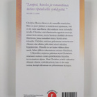 Cecelia Ahern : Kuinka rakastutaan - pikkukuva 2