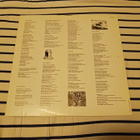 Waterboys – This Is The Sea lp 1986 Folk Rock - pikkukuva 4
