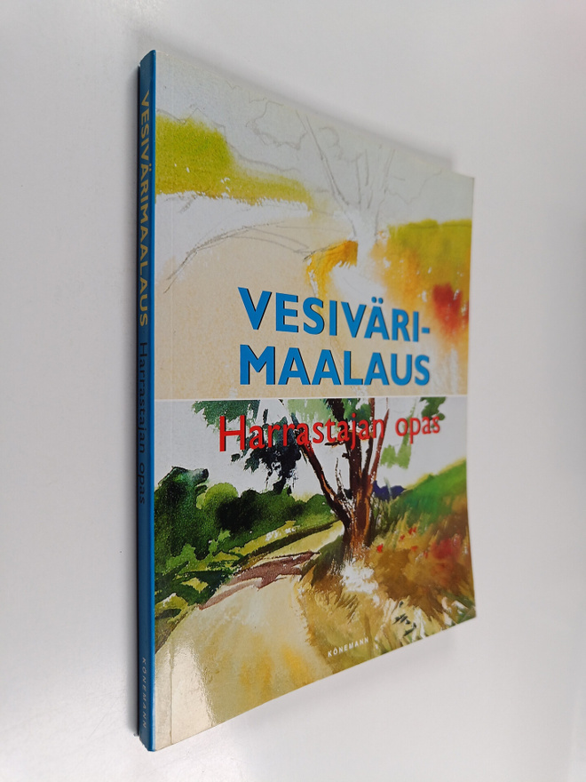 Ramon de Jesus Rodriguez Rodriguez : Vesivärimaalaus : ha...