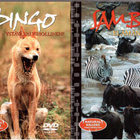 2 KPL DVD ELOKUVIA - pikkukuva 1