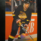Bret Hedican - Canucks jääkiekkokortti - pikkukuva 1