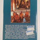 Rene Gothoni ym. : Bodhipuun juurella : kokemuksia buddha... - pikkukuva 2