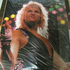 DAVID LEE ROTH-SKYSCRAPER TOUR KIERTUEKIRJA '88 JAPANI+ - pikkukuva 2