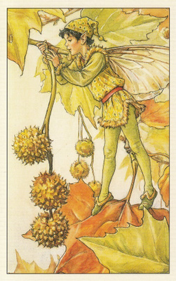Cicely Mary Barker: Kukkakeijut plataani