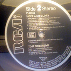 TOM ROBINSON  ::  HOPE AND GLORY  ::  VINYYLI   LP    1984 - pikkukuva 5