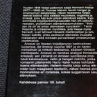 Hermann Hesse - Arosusi - pikkukuva 2