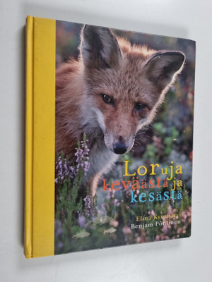 Elina Kynsijärvi : Loruja keväästä ja kesästä