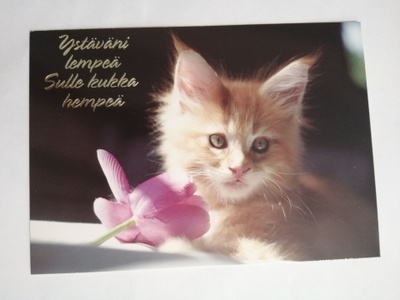 Ystäväni lempeä sulle kukka hempeä