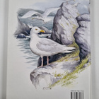 The status of marine birds breeding in the Barents Sea Re... - pikkukuva 2