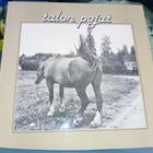 LP Talon Pojat ( SIGNED  ) SIS POSTIKULU - pikkukuva 1
