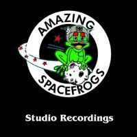 AMAZING SPACE FROGS studio recordings 1978-2001 uk kbd punk