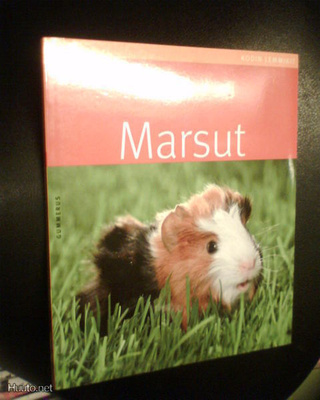 Birmelin MARSUT ( 2011 ) Sis.p o s t i k u l u t