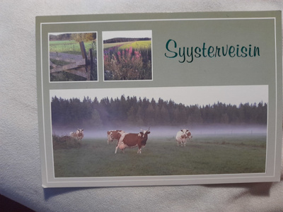 Syysterveisin, lehmät laitumella