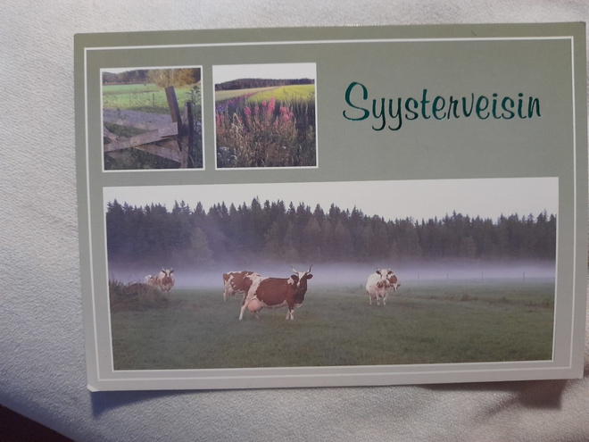 Syysterveisin, lehmät laitumella