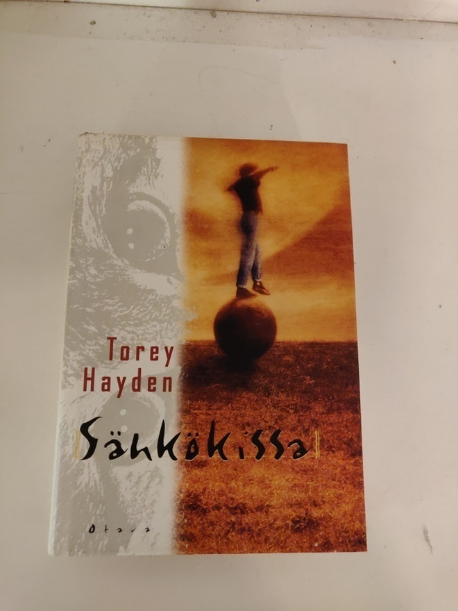 Torey Hayden; Sähkökissa