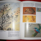 Joy Parsons : Wildlife Painting - pikkukuva 2