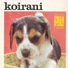 T-kirjat - Koirani (sid.) - pikkukuva 1