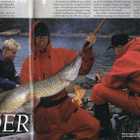 Fiske för alla n:o 7 1996 Vieraskielinen.  Katso lisäkuvat - pikkukuva 2