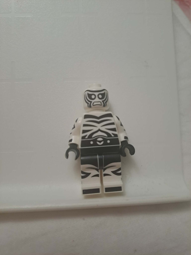 LEGO Zebra-Man