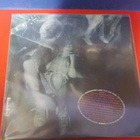 SOUNDGARDEN - SCREAMING LIFE/FLOPP M/EX 2LP - pikkukuva 2