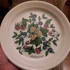 2 x Arabia Botanica . Lautanen Ø 20.5 cm . Uudenveroinen - pikkukuva 2