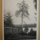 Kuuterselkä, Kuuterselän järveä, lähiympäristöä, k. 1910 - pikkukuva 1