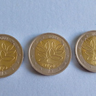 2 e risuraha 2004 3kpl. - pikkukuva 2